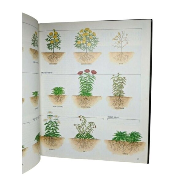 The Time-Life Gardeners Guide Annuals Hardcover Book - Picture 7 of 8